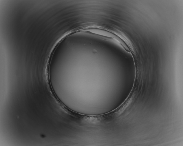 X0000093130806200710101058