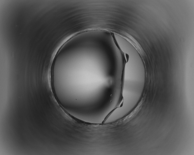 X0000093130812200710101058