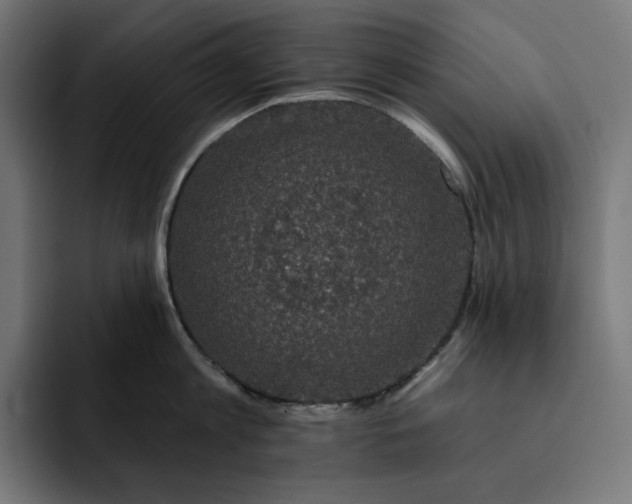 X0000093130813200710101058