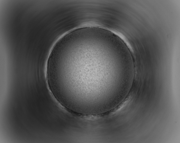 X0000093130815200710101058