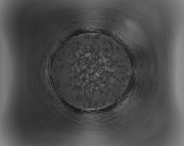 X0000093130817200710101057