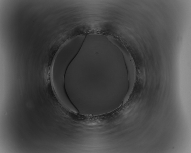 X0000093130818200710101057