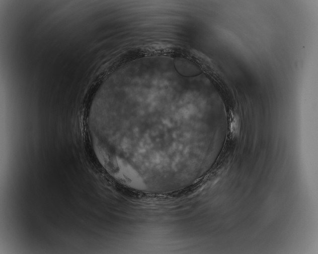 X0000093130819200710101057