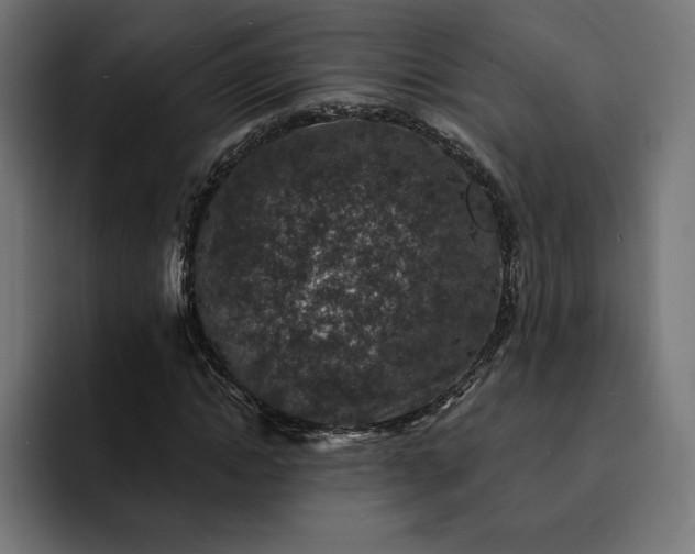 X0000093130822200710101057