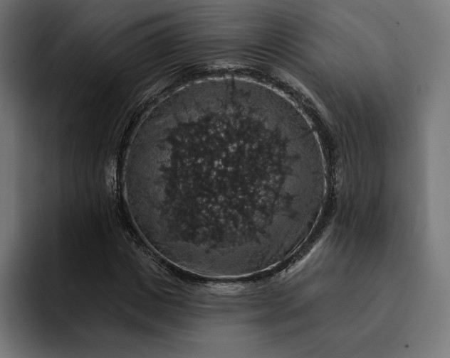 X0000093130825200710101057