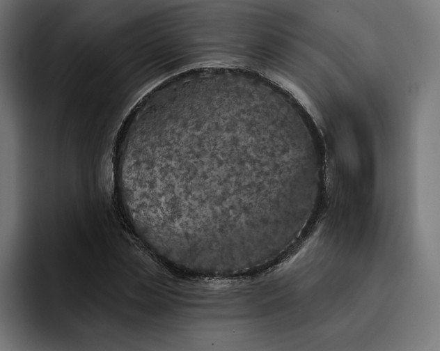 X0000093130829200710101057