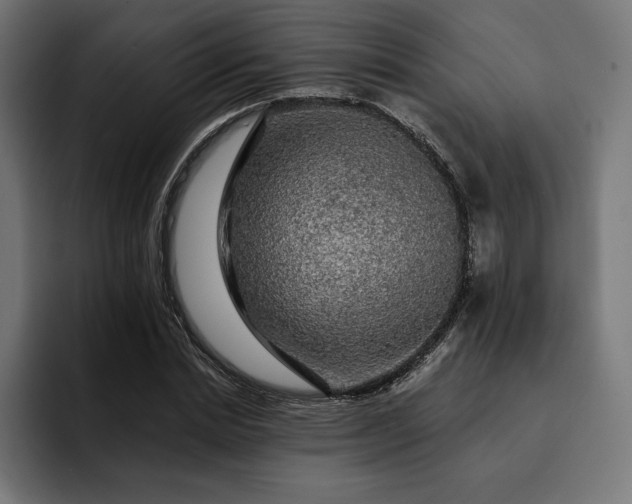 X0000093130830200710101057