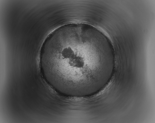 X0000093130831200710101057