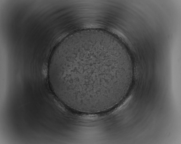 X0000093130833200710101057