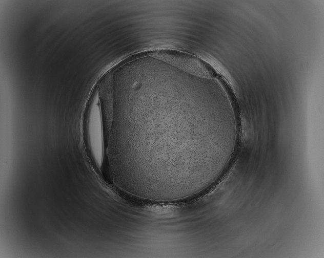 X0000093130834200710101057