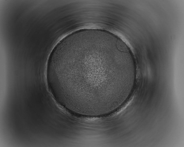 X0000093130837200710101057