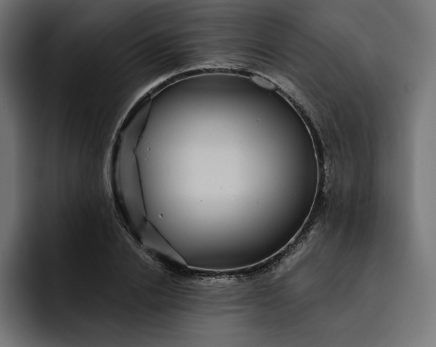 X0000093130838200710101057