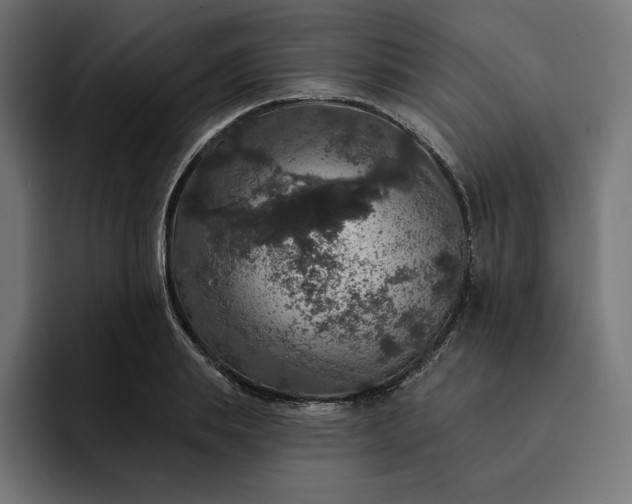 X0000093130839200710101057