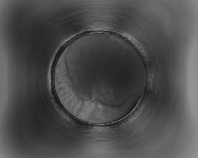 X0000093130840200710101057