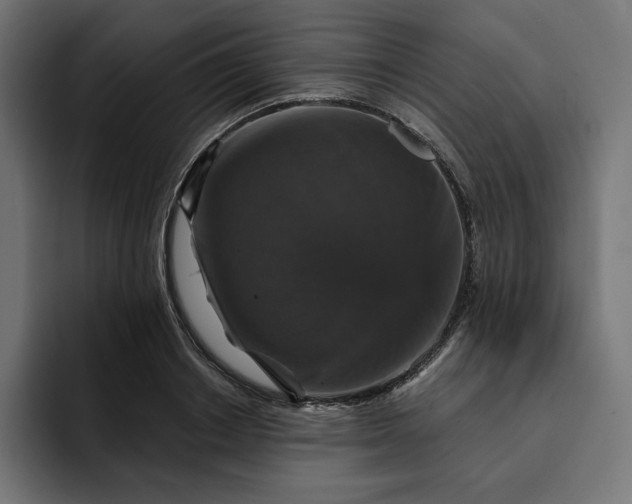 X0000093130842200710101057