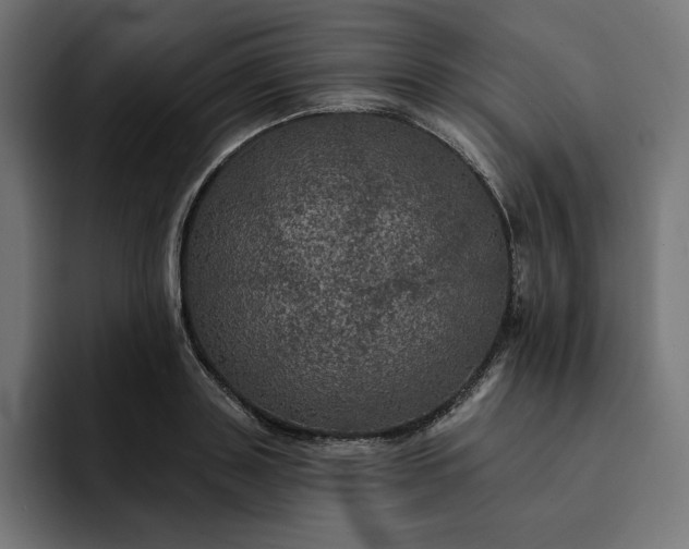 X0000093130843200710101057