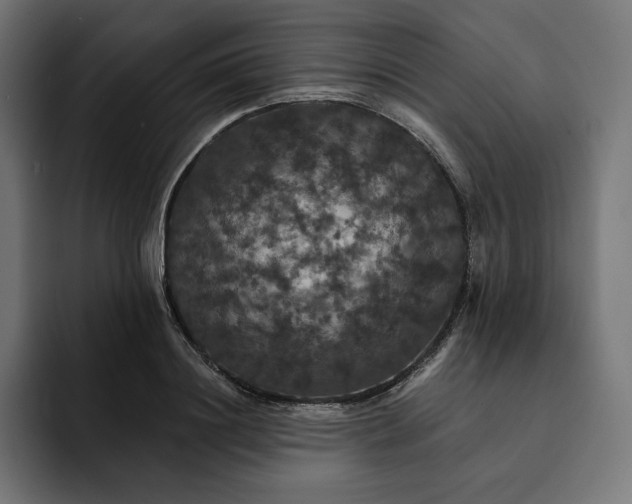 X0000093130844200710101057