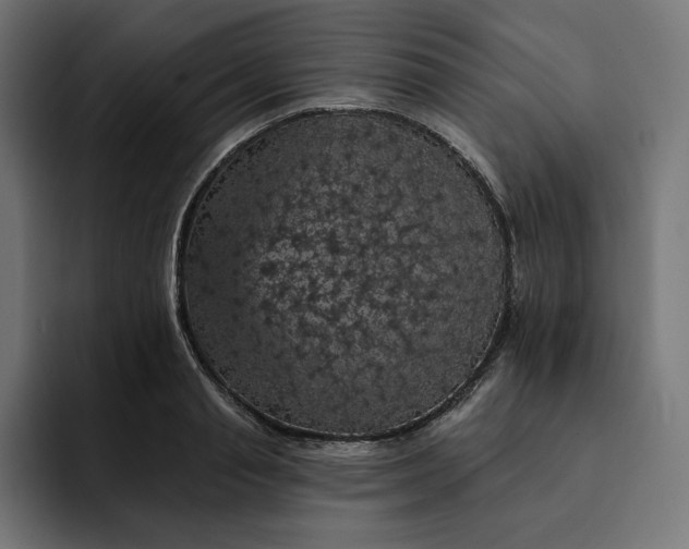 X0000093130845200710101057