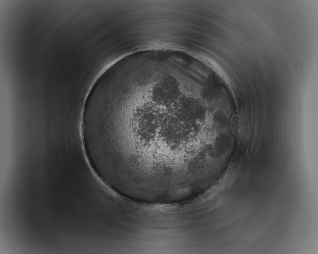 X0000093130847200710101057