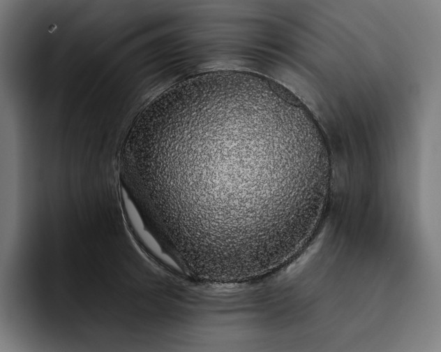 X0000093130849200710101057