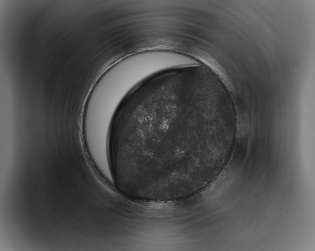 X0000093130850200710101057