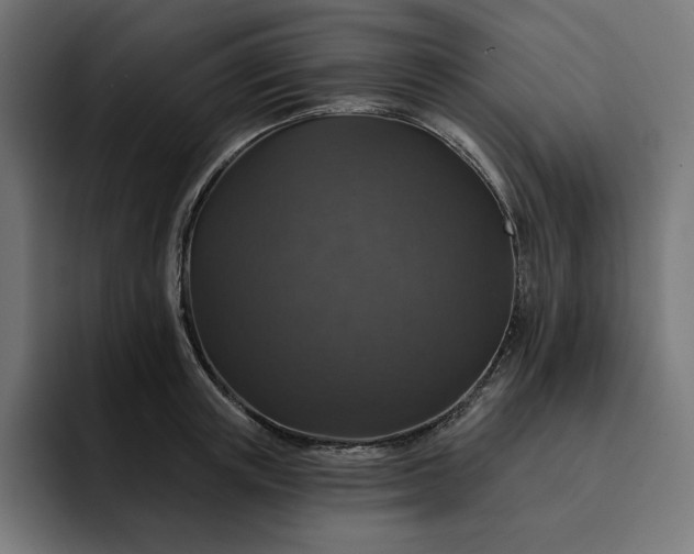 X0000093130851200710101057