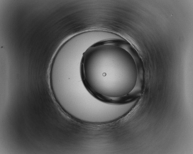 X0000093130854200710101058