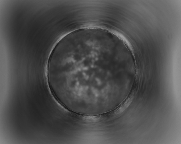 X0000093130855200710101058