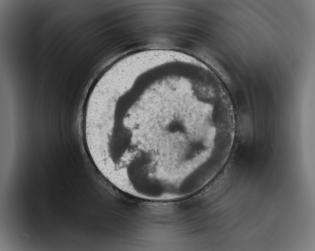 X0000093130856200710101058