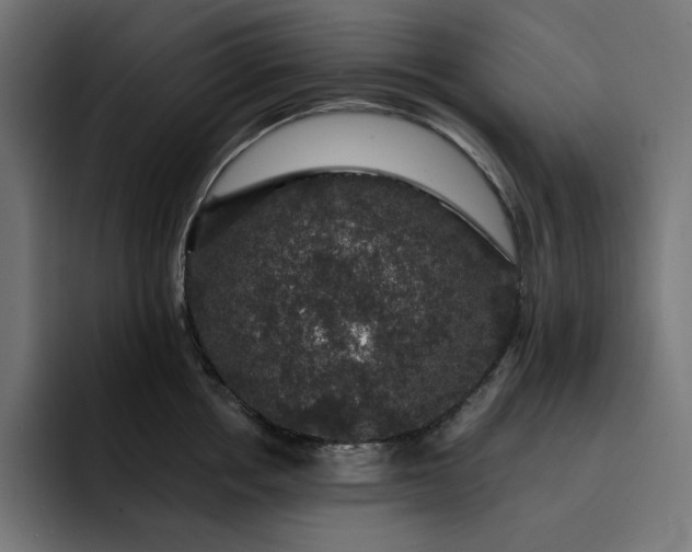 X0000093130858200710101058