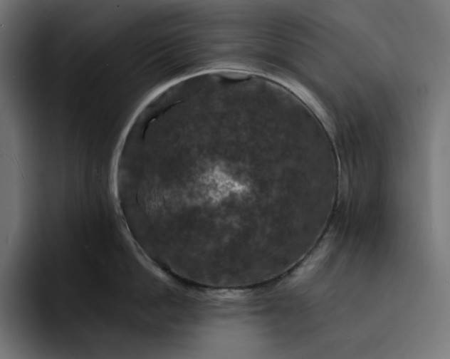 X0000093130862200710101058