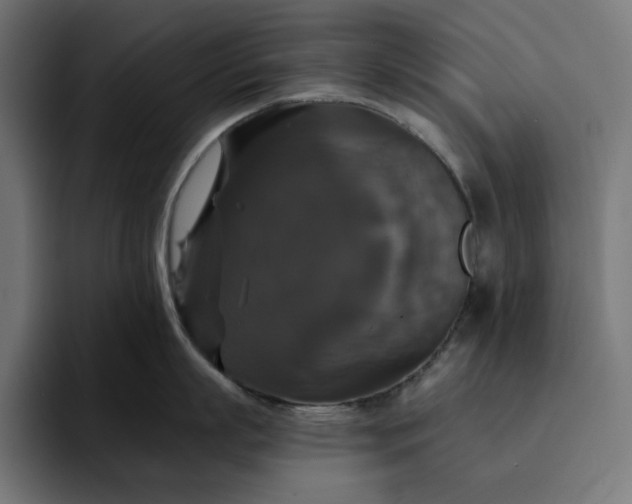 X0000093130863200710101058