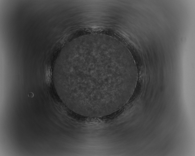 X0000093130866200710101057