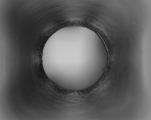 X0000093130869200710101057