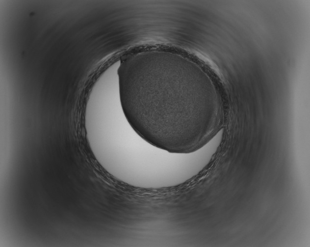 X0000093130872200710101057