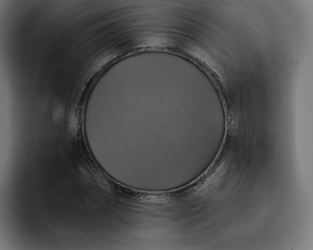 X0000093130874200710101057