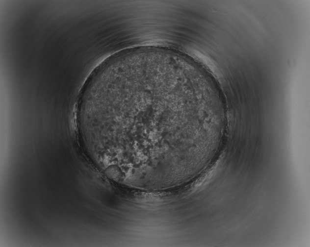 X0000093130875200710101057