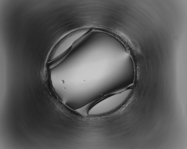 X0000093130876200710101057