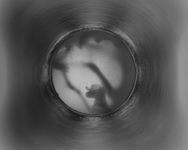 X0000093130878200710101057