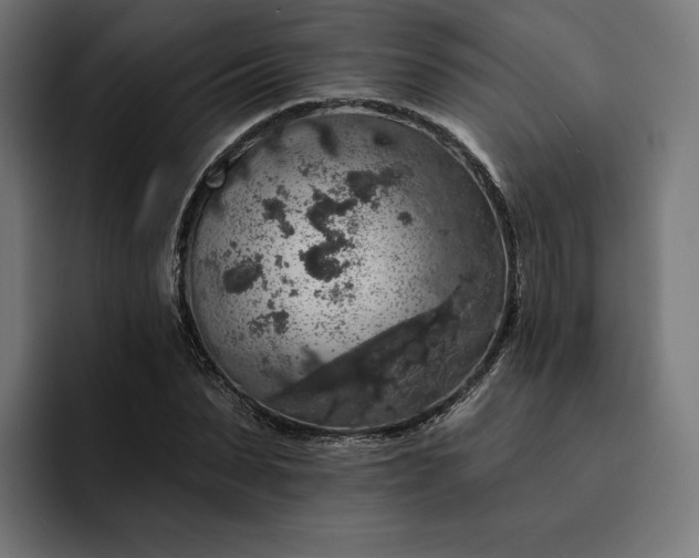 X0000093130879200710101057