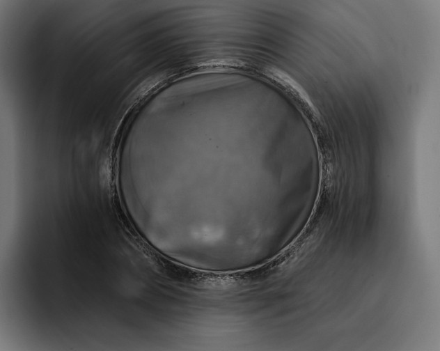 X0000093130882200710101057