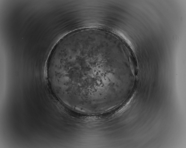 X0000093130883200710101057