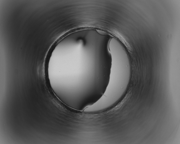 X0000093130884200710101057