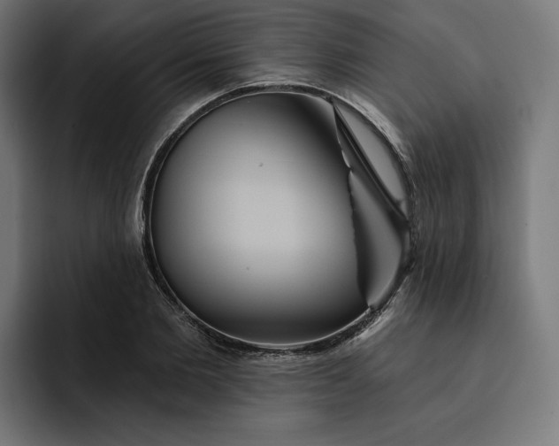 X0000093130885200710101057