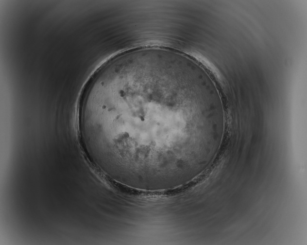 X0000093130886200710101057