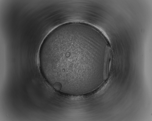 X0000093130887200710101057