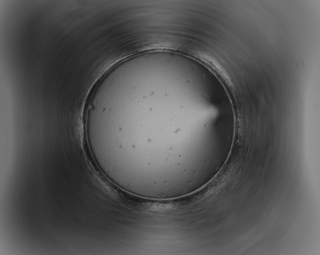 X0000093130890200710101057