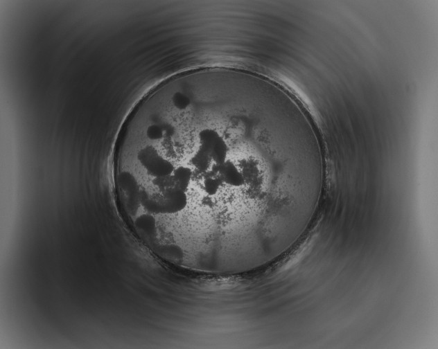 X0000093130891200710101057