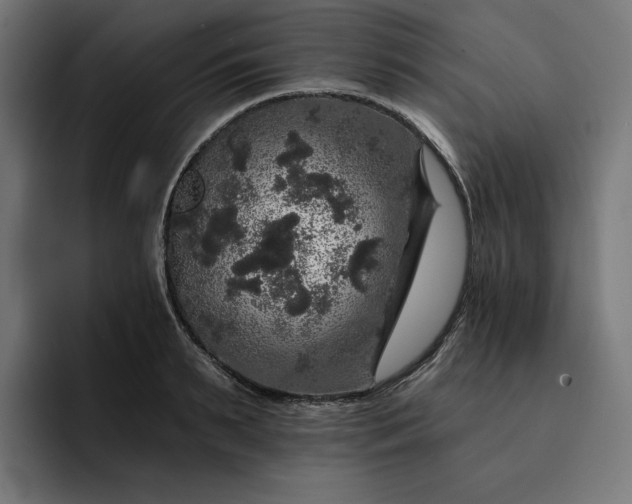 X0000093130895200710101057