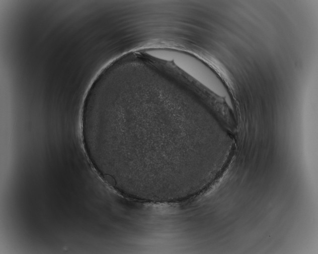 X0000093130896200710101057